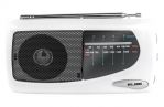 8435141903194